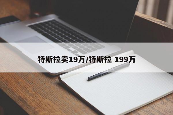 特斯拉卖19万/特斯拉 199万